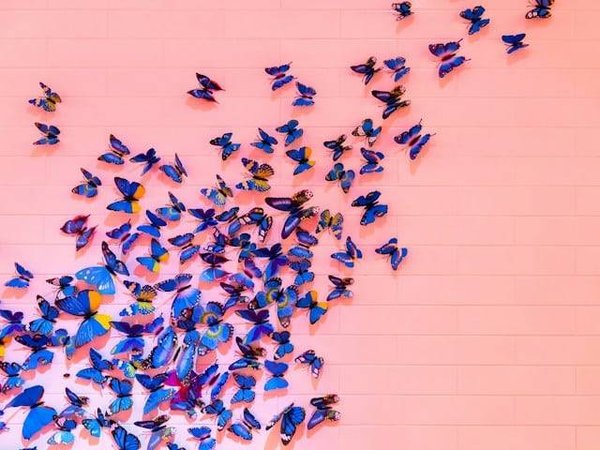 Comment Utiliser des Stickers Muraux pour Personnaliser Ma Décoration